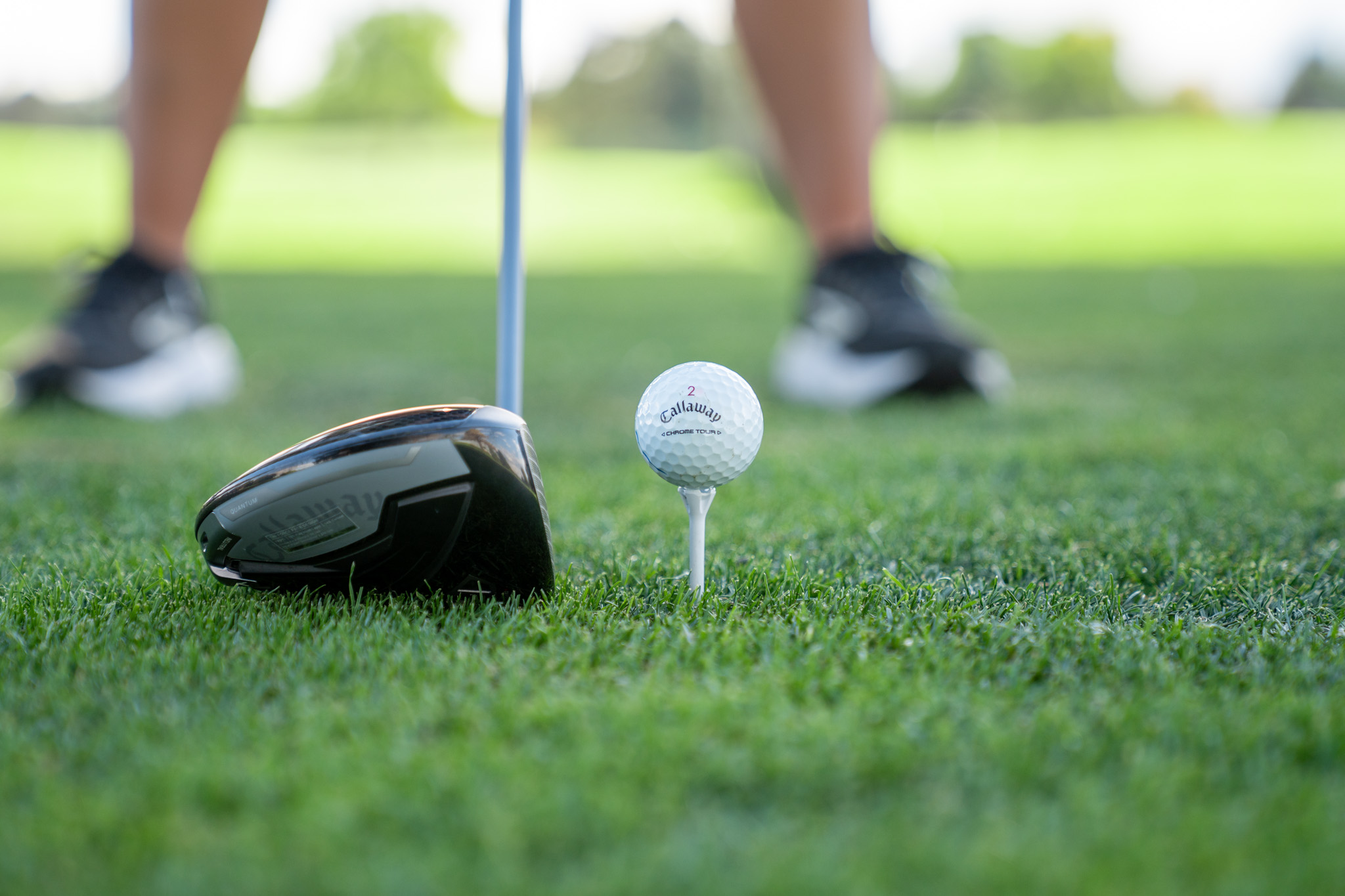 Close up of a golf club and ball sitting on a green field.